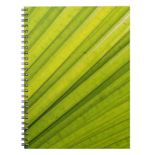 Palmblad Notitieboek (Voorkant)