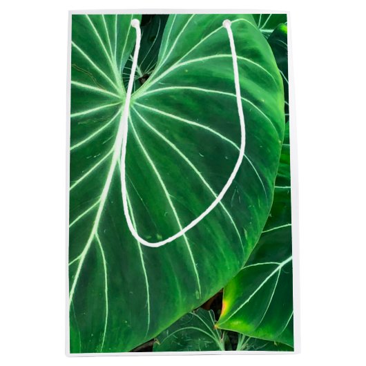 Palmblad tropisch gebladerte oerwoud gebladerte medium cadeauzakje (Voorkant)