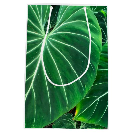 Palmblad tropisch gebladerte oerwoud gebladerte medium cadeauzakje (Achterkant)