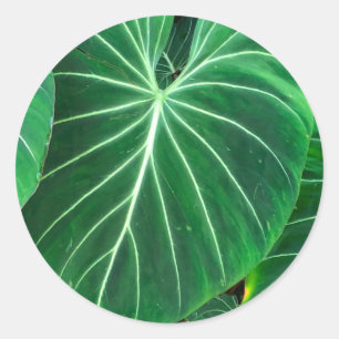 Palmblad tropisch gebladerte oerwoud gebladerte ronde sticker