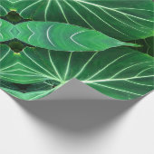 Palmblad, tropisch gebladerte, oerwoud regenwoud cadeaupapier (Hoek)