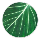 Palmblad, tropisch gebladerte, oerwoud regenwoud keramische knop (Voorkant)