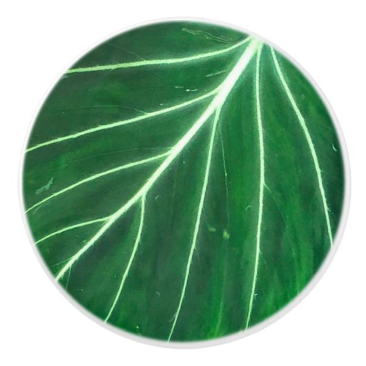 Palmblad, tropisch gebladerte, oerwoud regenwoud keramische knop (Voorkant)