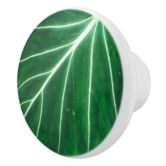 Palmblad, tropisch gebladerte, oerwoud regenwoud keramische knop (Rechts)