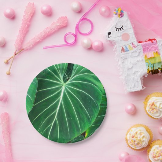 Palmblad, tropisch gebladerte, oerwoud regenwoud papieren bordje (Feest)