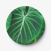 Palmblad, tropisch gebladerte, oerwoud regenwoud papieren bordje (Voorkant)