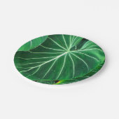 Palmblad, tropisch gebladerte, oerwoud regenwoud papieren bordje (Gekanteld)