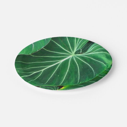 Palmblad, tropisch gebladerte, oerwoud regenwoud papieren bordje (Gekanteld)