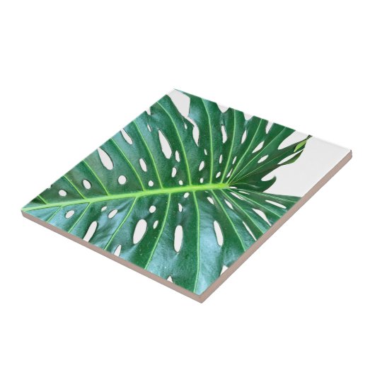 Palmblad, tropisch gebladerte, oerwoud regenwoud tegeltje (Zijkant)