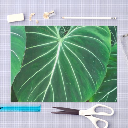 Palmblad, tropisch gebladerte, oerwoud regenwoud tissuepapier (Craft)