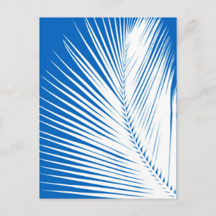 Palmblad - wit op kobaltblauw briefkaart