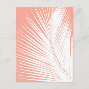 Palmblad - wit op koraalroze briefkaart