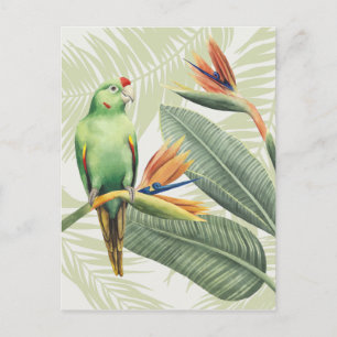 Palmbladeren met een groene vogel briefkaart