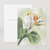 Palmbladeren met witte vogel briefkaart (Voorkant / Achterkant)