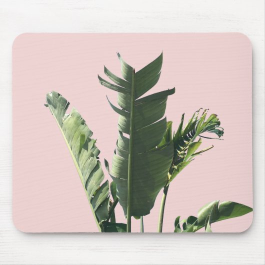 palmbladeren op roze muismat (Voorkant)