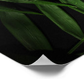Palmbladeren Poster (Hoek)