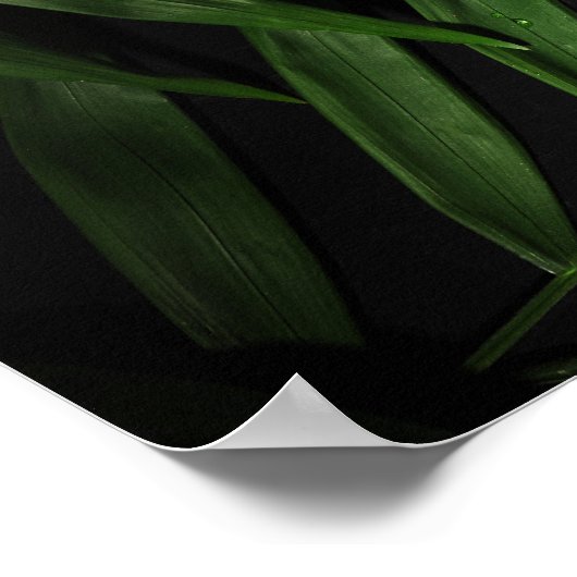 Palmbladeren Poster (Hoek)