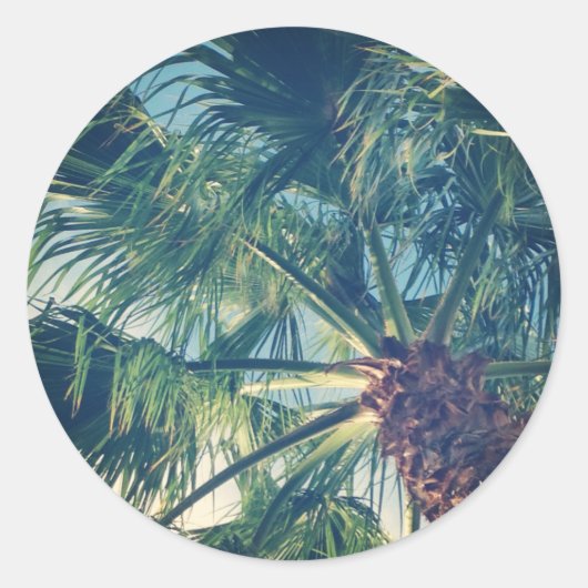 Palmbladeren Ronde Sticker (Voorkant)