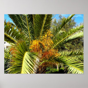 Palmbloemen en -bladeren poster