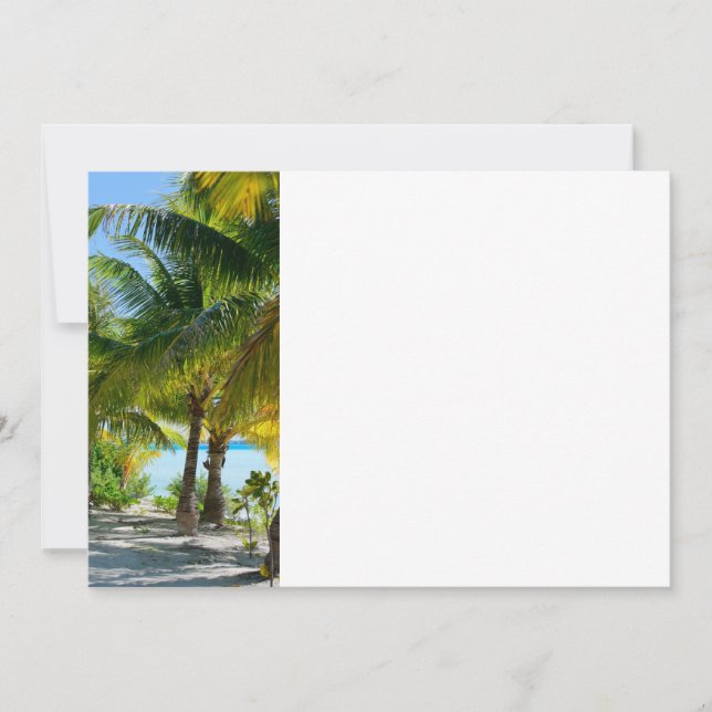 Palmbomen (Voorkant)