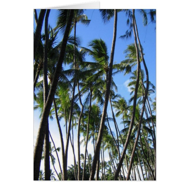 Palmbomen (Voorkant)