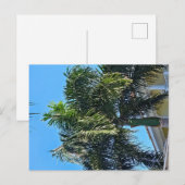 Palmbomen ansichtkaart briefkaart (Voorkant / Achterkant)