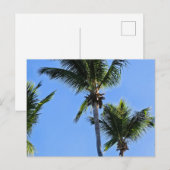 Palmbomen ansichtkaart briefkaart (Voorkant / Achterkant)