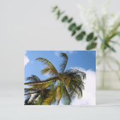 Palmbomen ansichtkaart briefkaart (Staand voorkant)