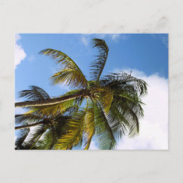 Palmbomen ansichtkaart briefkaart