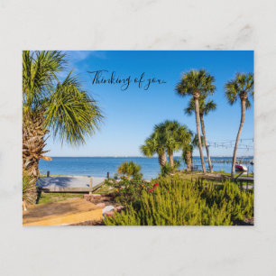 Palmbomen bayside ochtend denken aan U-Briefkaart Briefkaart
