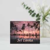 Palmbomen bij Negombo Beach Sri Lanka Briefkaart (Staand voorkant)