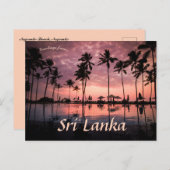 Palmbomen bij Negombo Beach Sri Lanka Briefkaart (Voorkant / Achterkant)