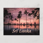 Palmbomen bij Negombo Beach Sri Lanka Briefkaart (Voorkant)