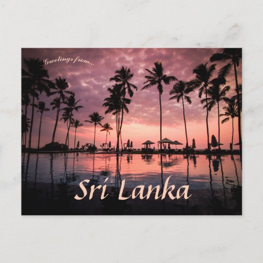 Palmbomen bij Negombo Beach Sri Lanka Briefkaart (Voorkant)
