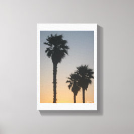 Palmbomen bij zonsondergang canvas afdruk