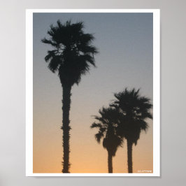 Palmbomen bij zonsondergang poster