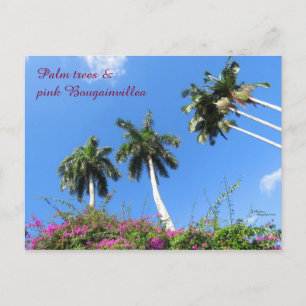 Palmbomen Bougainvillea struiken Florida Briefkaar Briefkaart