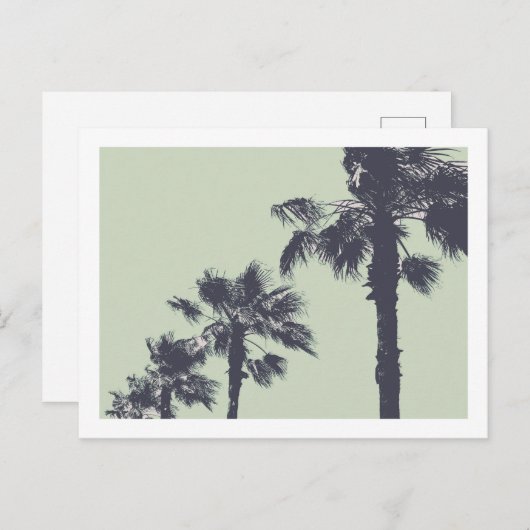  palmbomen briefkaart (Voorkant / Achterkant)