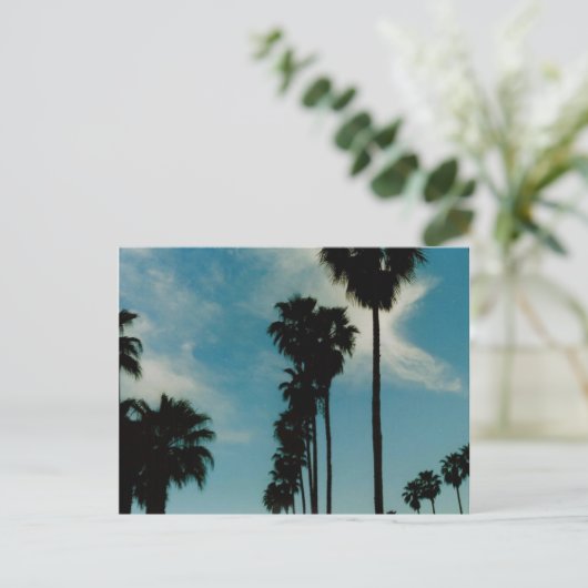 Palmbomen Briefkaart (Staand voorkant)