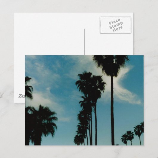 Palmbomen Briefkaart (Voorkant / Achterkant)