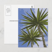 Palmbomen Briefkaart (Voorkant / Achterkant)