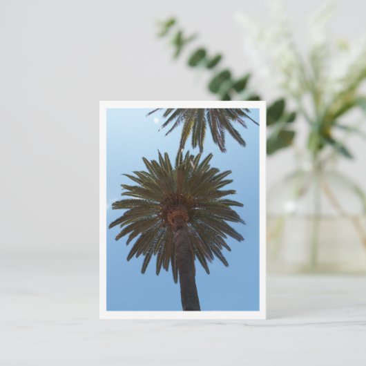 Palmbomen Briefkaart (Staand voorkant)