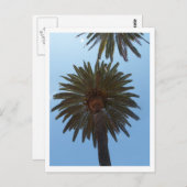 Palmbomen Briefkaart (Voorkant / Achterkant)