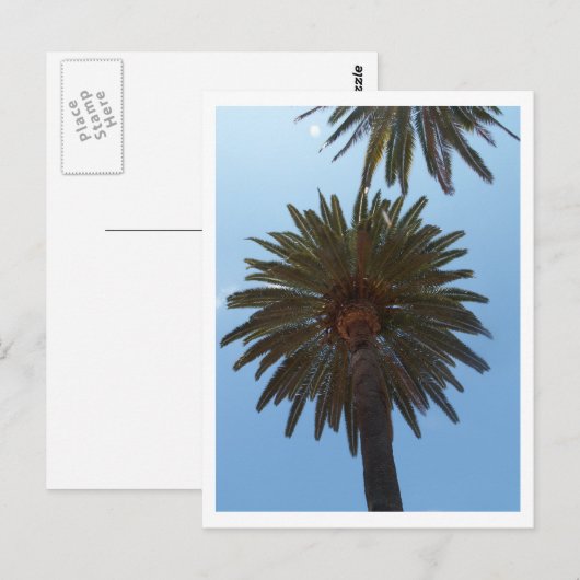Palmbomen Briefkaart (Voorkant / Achterkant)