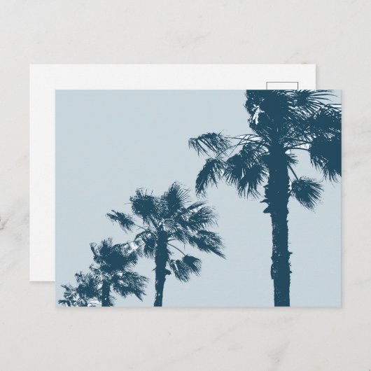  palmbomen briefkaart (Voorkant / Achterkant)