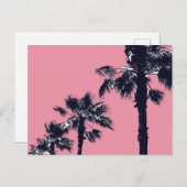  palmbomen briefkaart (Voorkant / Achterkant)