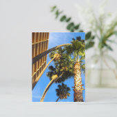 palmbomen briefkaart (Staand voorkant)