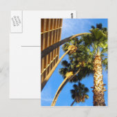 palmbomen briefkaart (Voorkant / Achterkant)