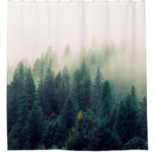 PALMBOMEN DIE ONDER FOG VALLEN DOUCHEGORDIJN (Voorkant)
