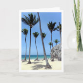 Palmbomen, Dominicaanse Republiek, Landschap Kaart (Voorkant)